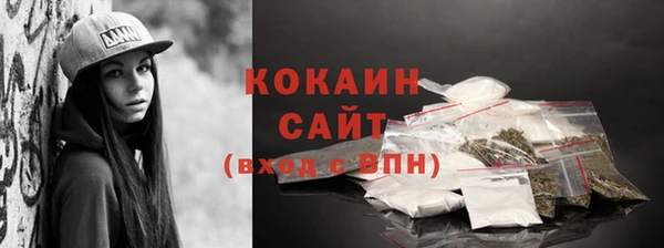 индика Вязники