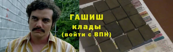 СК Бородино