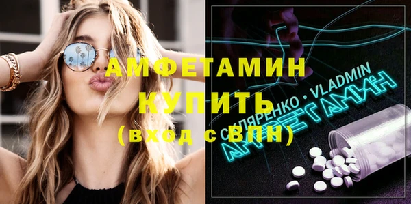 индика Вязники