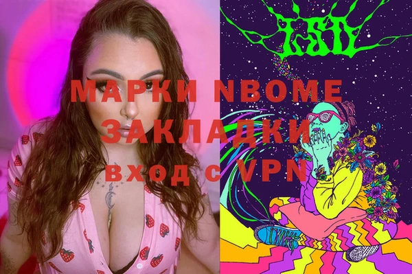 индика Вязники