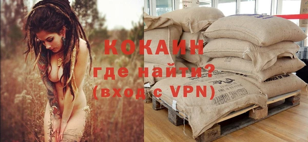 индика Вязники