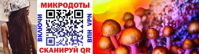 наркотики  Елабуга  Галлюциногенные грибы MAGIC MUSHROOMS 